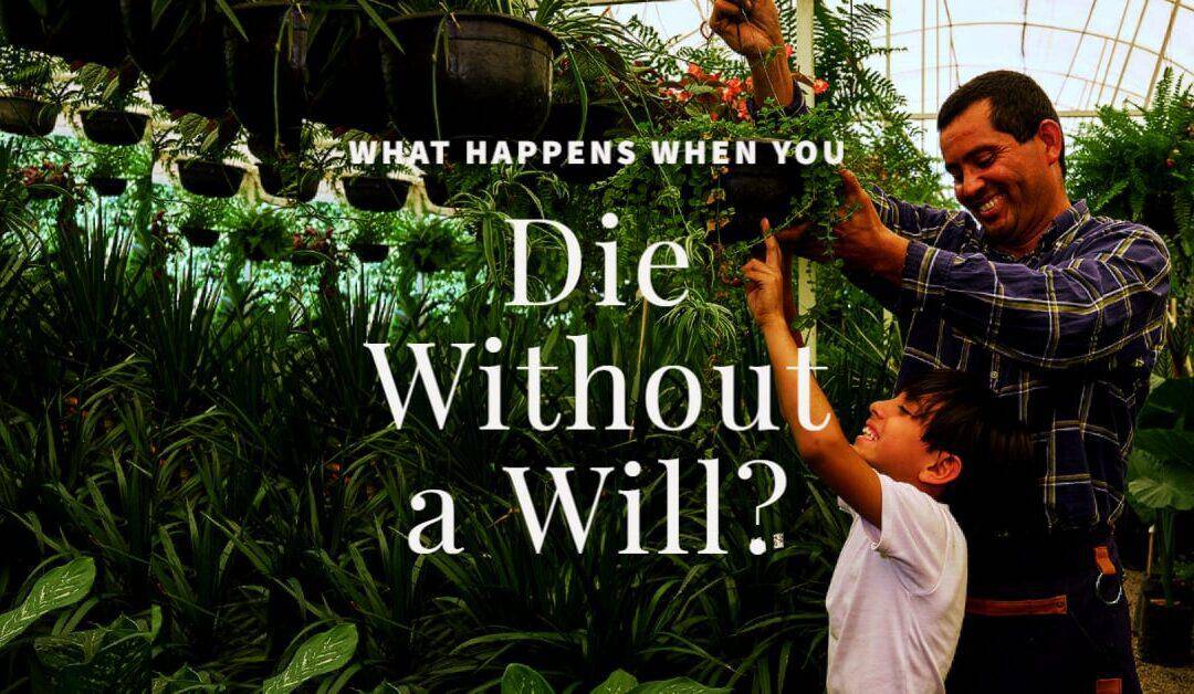 What Happens When You Die Without a Will