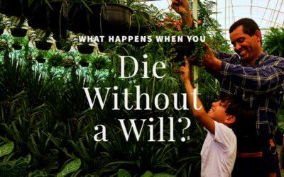 What Happens When You Die Without a Will?