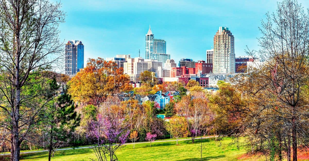 Raleigh (3)